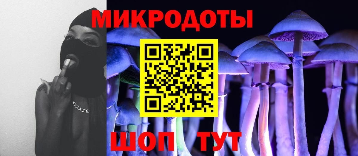 Рассказово  Галлюциногенные грибы прущие грибы  Вход с VPN 